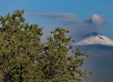 Emite volcán Popocatépetl columna de ceniza de 2.5 kilómetros