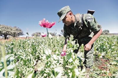 Sedena realiza operación en zonas marginadas