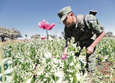 Sedena realiza operación en zonas marginadas