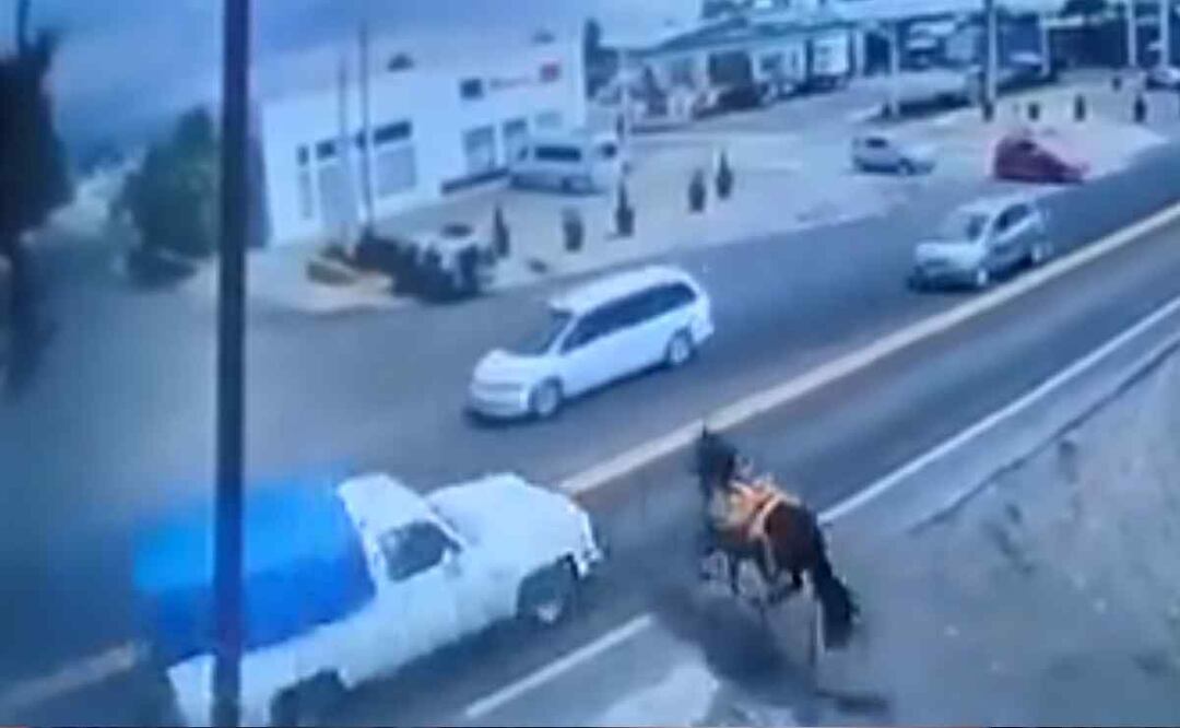 Momento exacto en que un caballo se impacta contra una camioneta pick up que circulaba sobre la carretera federal México-Cuautla Foto: Captura de pantalla/El Universal