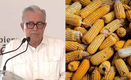¿Maíz transgénero? Rubén Rocha corrige desliz durante discurso en Sinaloa; destaca importancia del maíz blanco
