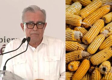 ¿Maíz transgénero? Rubén Rocha corrige desliz durante discurso en Sinaloa; destaca importancia del maíz blanco