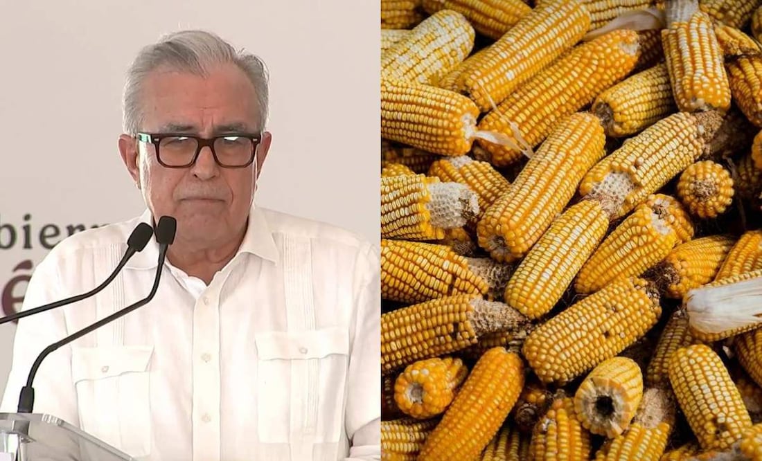 El gobernador de Sinaloa compartió la necesidad de "enfrentar" la "amenaza del maíz transgénero". Foto: Archivo EL UNIVERSAL