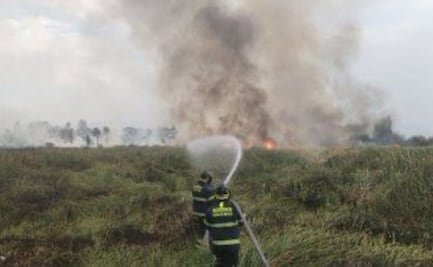 Tras incendio en Xochimilco, Secretaría de Medio Ambiente reporta afectación de 7.5 hectáreas de vegetación
