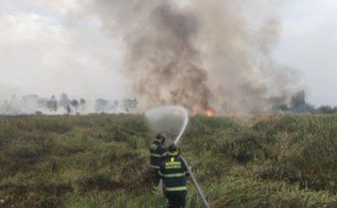 Se registró un incendio en el paraje Ciénega Grande, en la alcaldía Xochimilco. Foto: especial