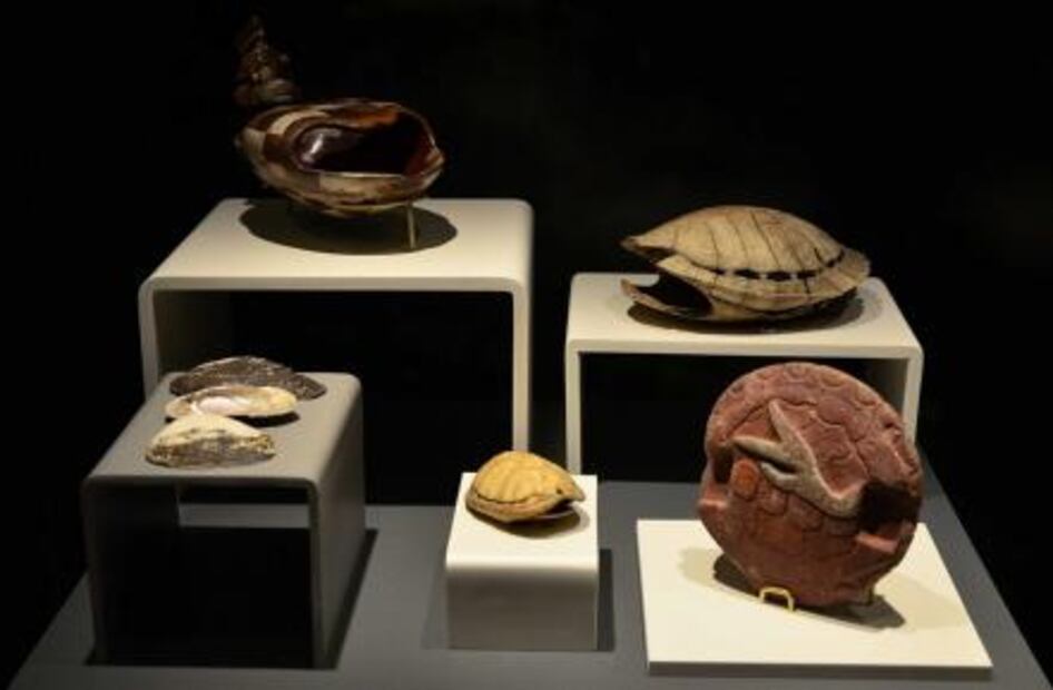 Ofrendas de Templo Mayor demuestran poderío de Tenochtitlán