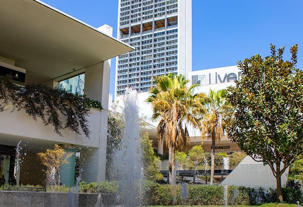 Foto: Redes sociales