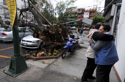 Protección Civil reporta saldo blanco por viento en la capital