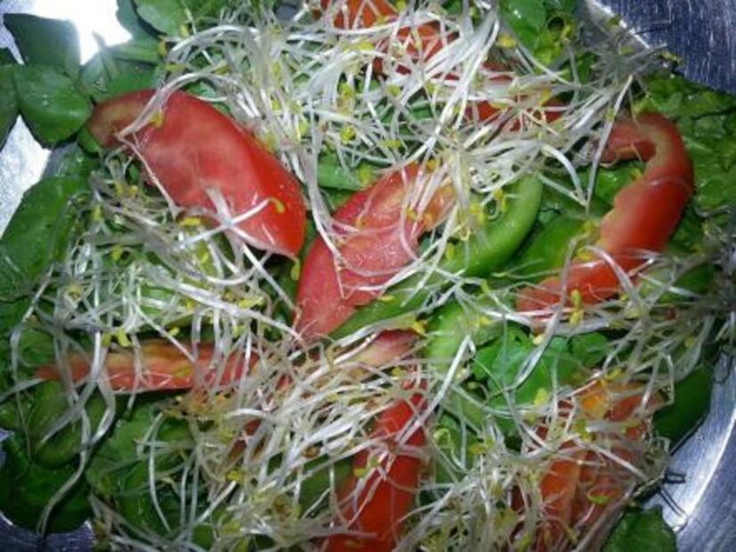 Por qué la lechuga no es la mejor base de una ensalada