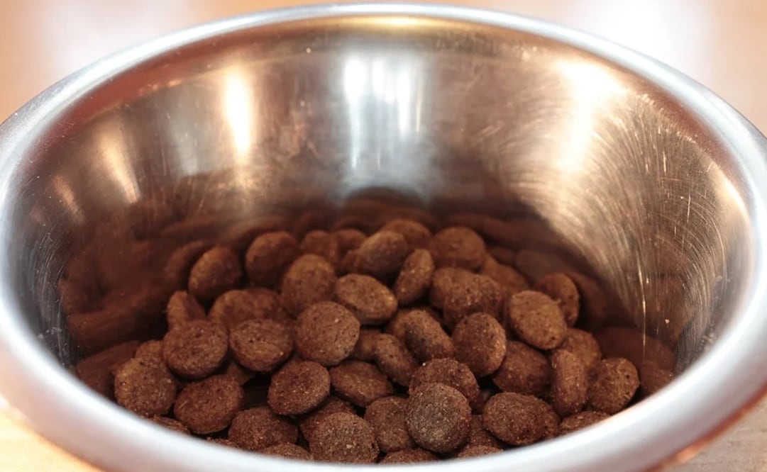 Imagen ilustrativa. Foto: Pixabay