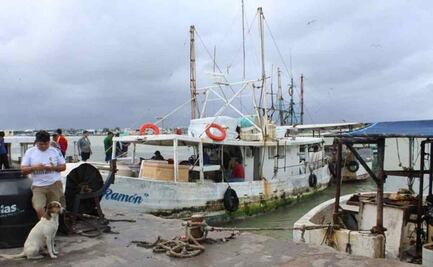 Frentes fríos causan perdidas económicas en producción pesquera en Yucatán