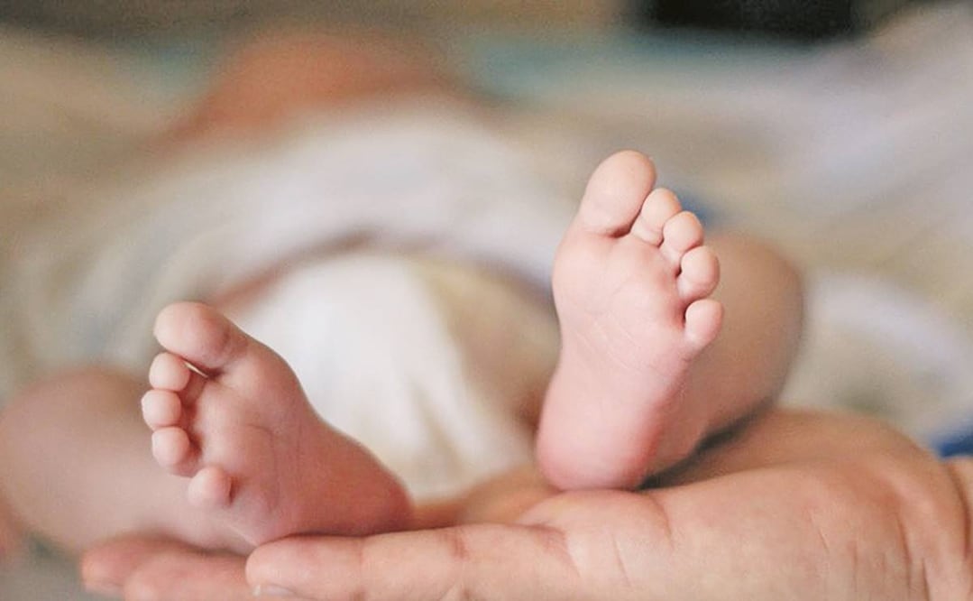 Foto: Archivo/EL UNIVERSAL