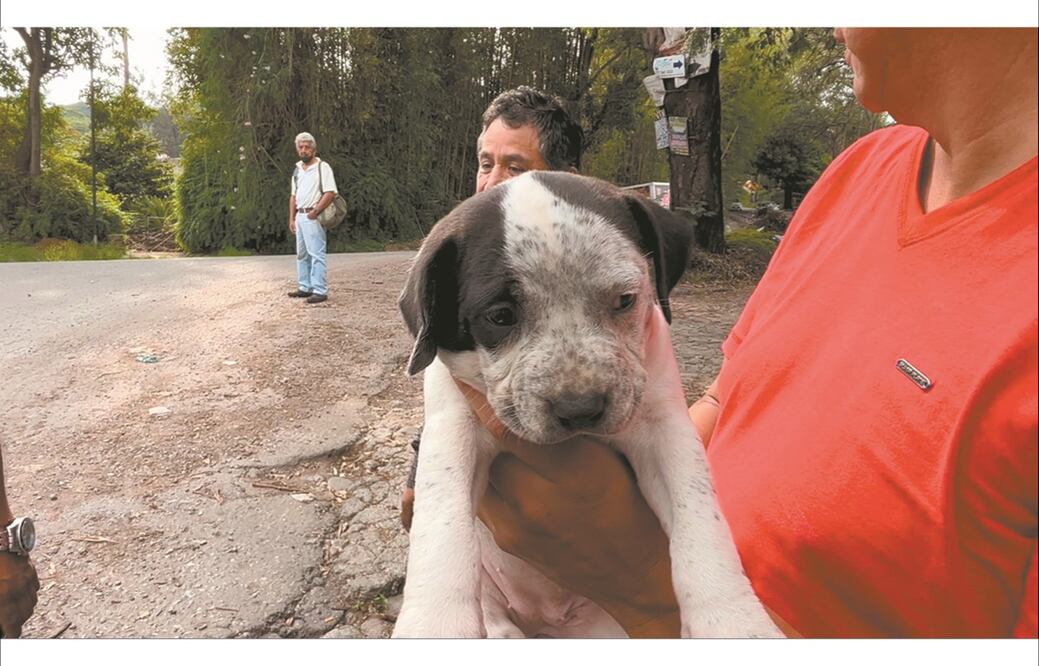 FOTO: Archivo/EL UNIVERSAL/