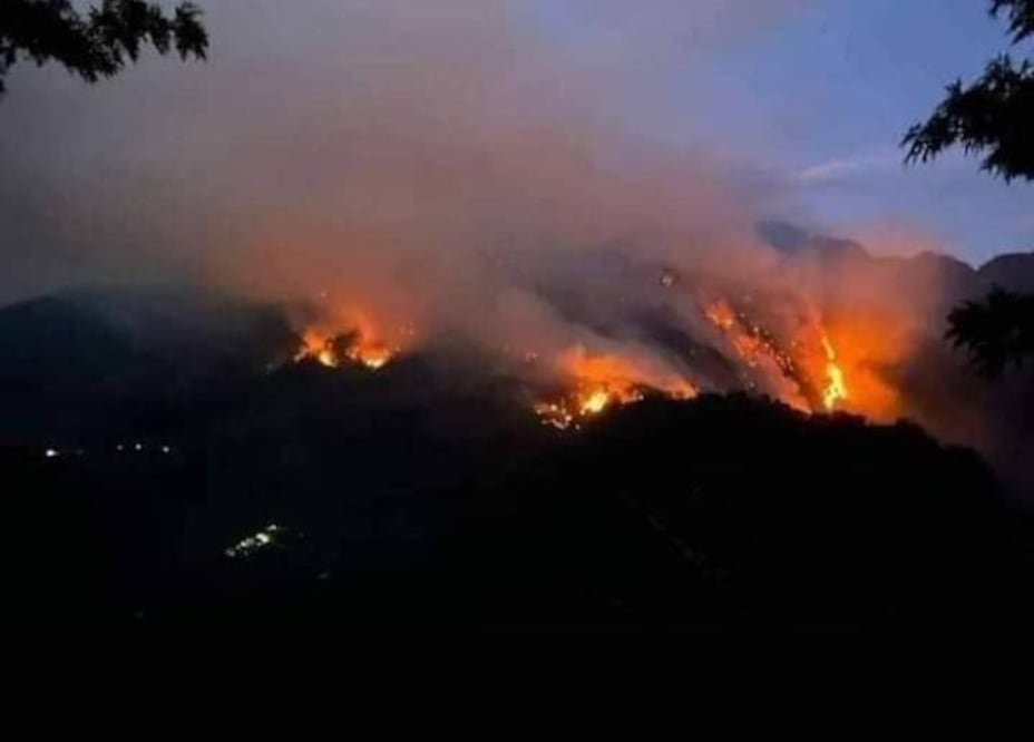 Al menos 16 incendios consumen bosques de Oaxaca. (Foto: especial)