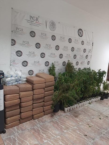 Aseguran 216 kilogramos de marihuana en Tamaulipas