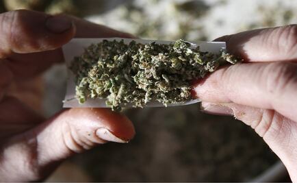 Enrique de la Madrid backs marijuana legalization in major beach resorts