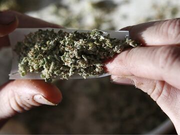 Enrique de la Madrid backs marijuana legalization in major beach resorts