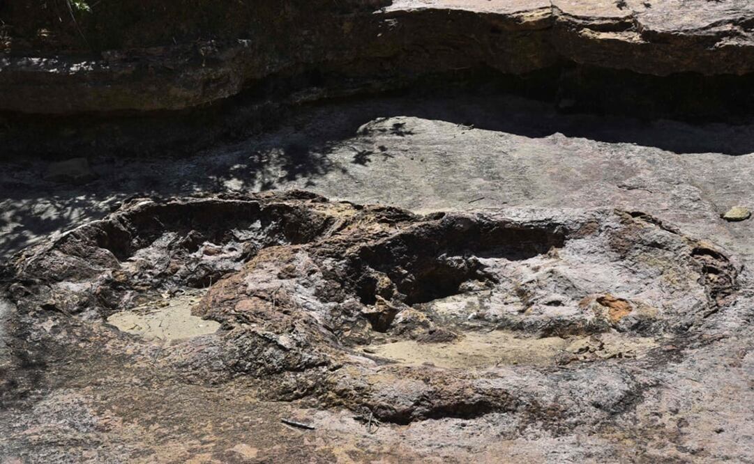 Foto: Aizar RALDES/AFP