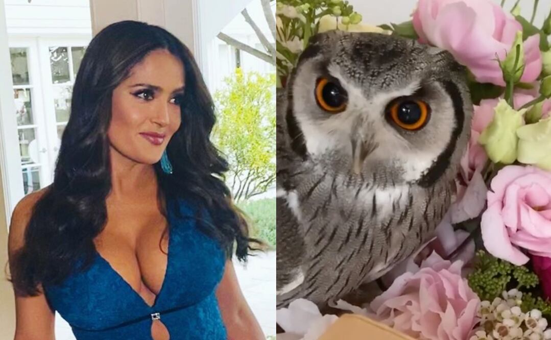 Salma Hayek no deja de encantarnos y comparte con nosotros sus foto más random Foto: Instagram @salmahayek