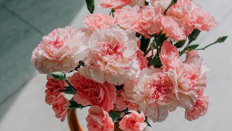 Abuelo enternece en la red al sorprender a su esposa con flores