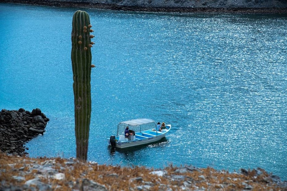 Foto: Secretaría de Turismo de Baja California