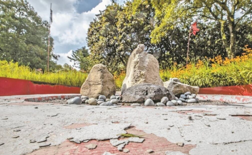 Pretenden arrasar Jardín Botánico para construir museo en Chapultepec