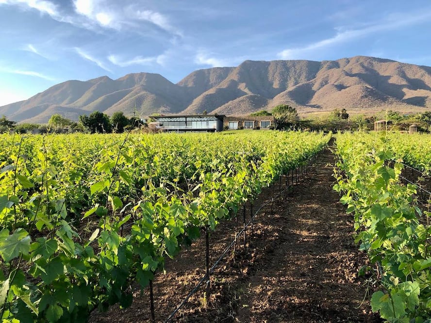 Foto: Finca La Estramancia