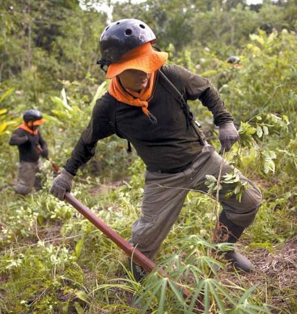 Foto ilustrativa: Archivo/EL UNIVERSAL