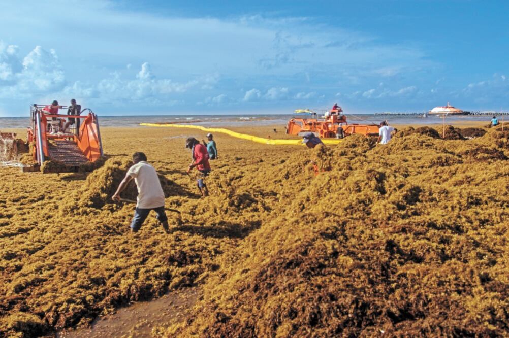 Swiss Re señaló que recientemente Quintana Roo contrató un seguro con Afirme en el que se cubren las playas y arrecifes de la entidad. Foto: CUARTOSCURO