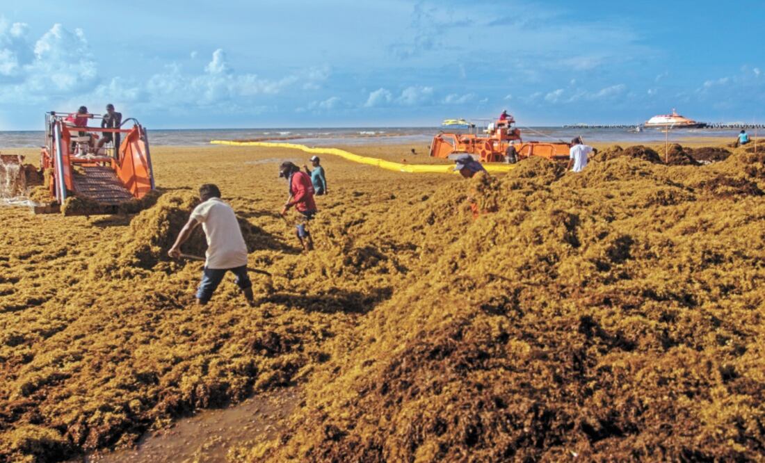 Swiss Re señaló que recientemente Quintana Roo contrató un seguro con Afirme en el que se cubren las playas y arrecifes de la entidad. Foto: CUARTOSCURO