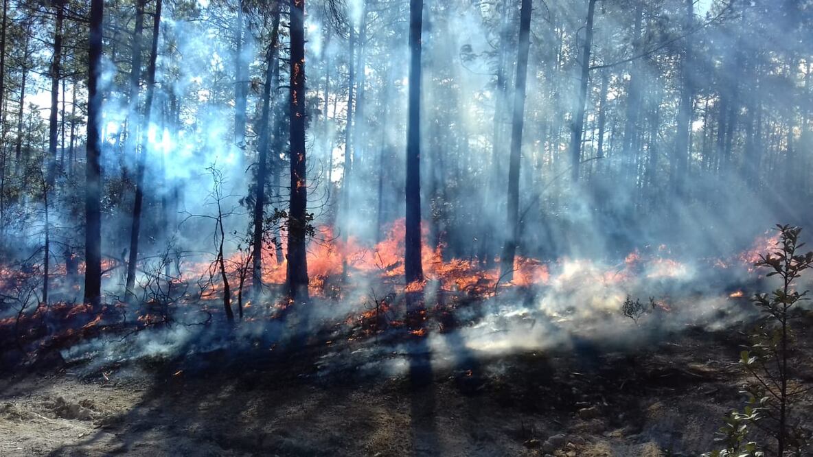 Foto: Archivo / EL UNIVERSAL