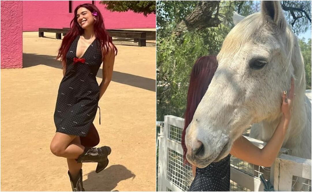 Usuarios de la misma red social invitaron a la cantante a quedarse en tierras mexicanas. Fotos: Instagram. @dualipa