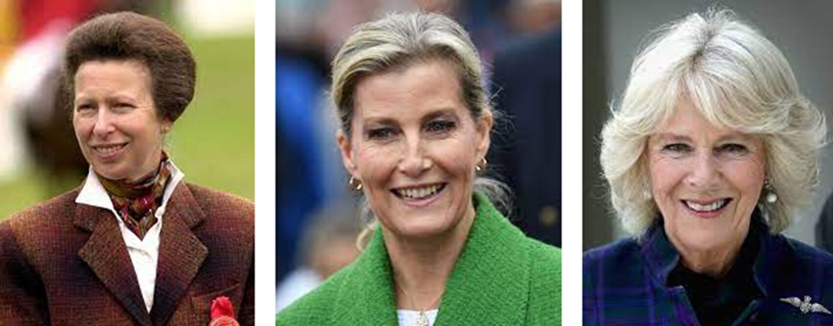 La princesa ana, la duquesa Sophie y la reina Camila, mujeres cercanas al rey Carlos III. FOTO: ESPECIAL