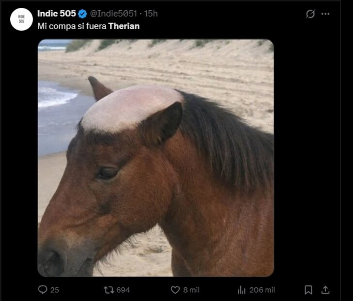 Estos son los mejores memes que han dejado los “therian”. Foto: Captura de pantalla