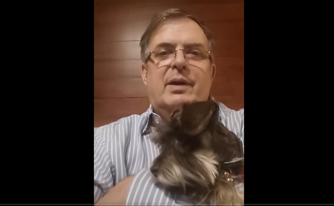 Lo anterior lo dio a conocer mediante un video publicado en sus redes sociales y acompañado de su perrito. Foto: captura de video 