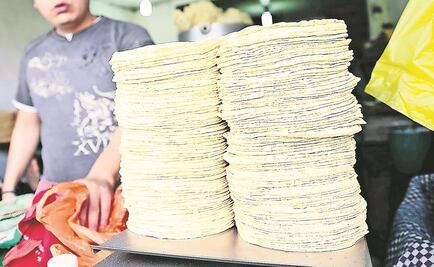 Advierten que tortilla puede subir de precio tras aumento a gasolinas