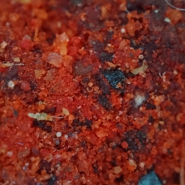 OPPO Reno7: el smartphone con una lente microscópica