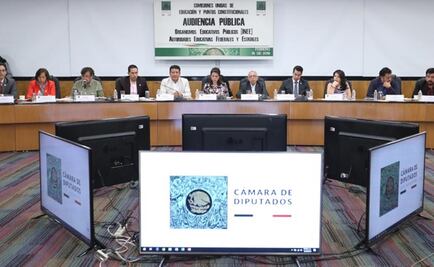 Desaparecer el INEE sería volver al oscurantismo: Bracho González