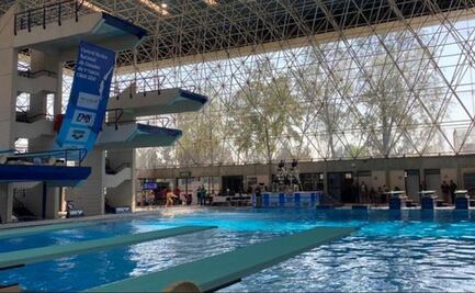 Nuevo negocio redondo para los dirigentes de la Federación de Natación