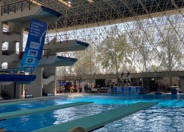 Nuevo negocio redondo para los dirigentes de la Federación de Natación