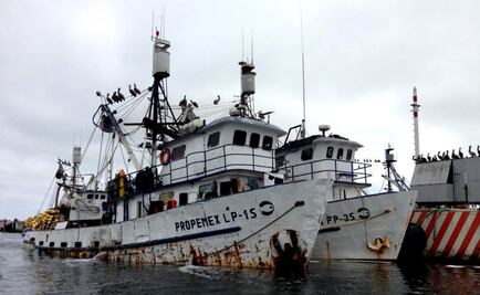 “Bad and ugly,” fishing subsidies