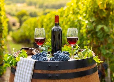 Fiestas de la Vendimia 2019: precios y actividades en Guanajuato y Querétaro