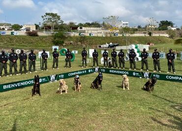 Anuncian diplomado internacional para oficiales caninos en Veracruz