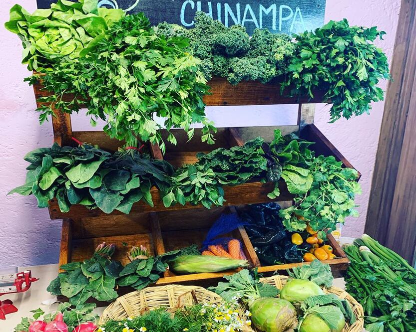 Algunos productores no están cobrando el envío a domicilio de de las verduras y hortalizas / Foto: De la chinampa