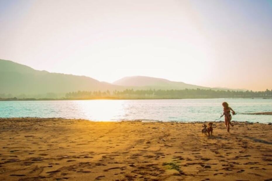 ¡Aquí, no nades! ¿Cuáles son las playas más sucias de México?