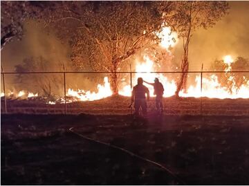 Incendio consume cinco hectáreas de la Reserva Ecológica de Xochimilco; no reportan personas lesionadas