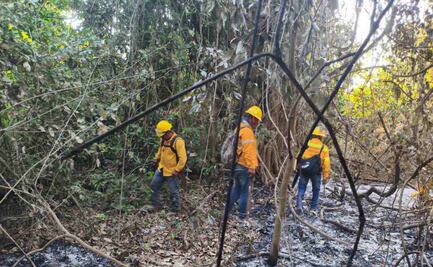 Incendios forestales arrasan más de 24 mil hectáreas en Oaxaca; autoridades alertan por altas temperaturas