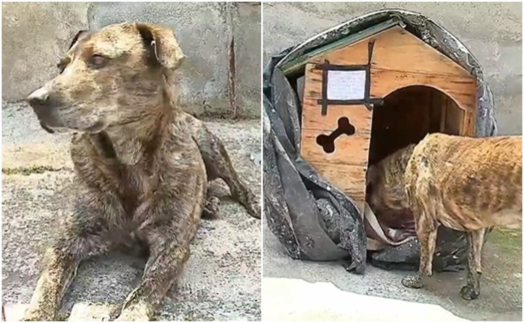 Foto: Tomada del video