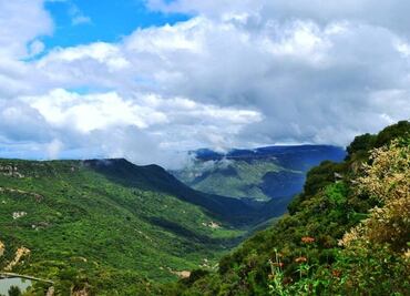 The most breathtaking forests in Mexico