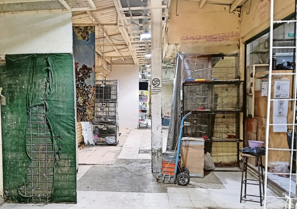 Mercado de Sonora. Foto: Daniel Augusto